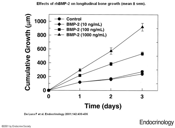 Culture avec BMP2.jpg