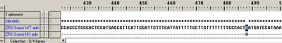 Comparaison séquences WT- HX.jpg