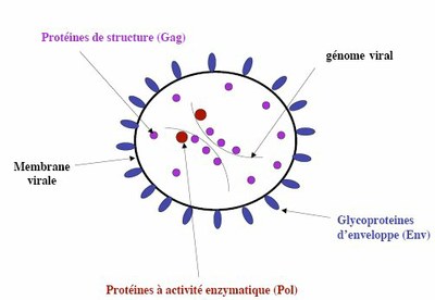 shéma simplifié.jpg