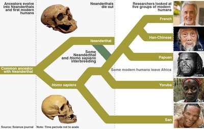 neanderthal-human-relations.jpg