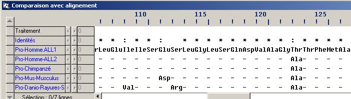 Comparaison SLC24A5 différentes espèces.jpg