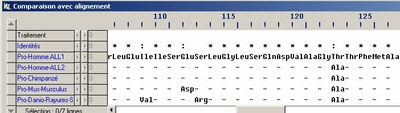 Comparaison SLC24A5 différentes espèces.jpg
