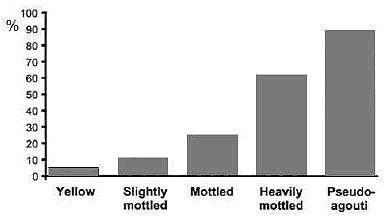 méthylation allèle Avy.jpg