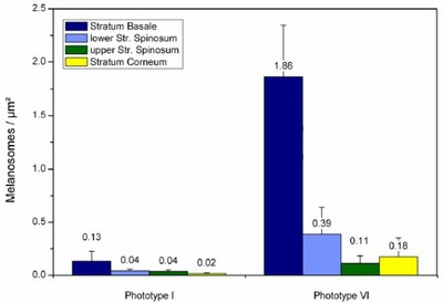 Nombre de mélanosomes.jpg