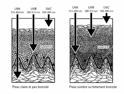 Pénétration des UV-Simplifiée.jpg
