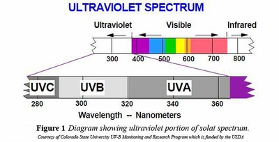 spectre ultraviolet.jpg
