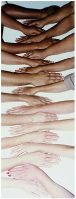 Variation pigmentation.jpg