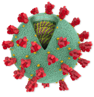 Icone Coronavirus