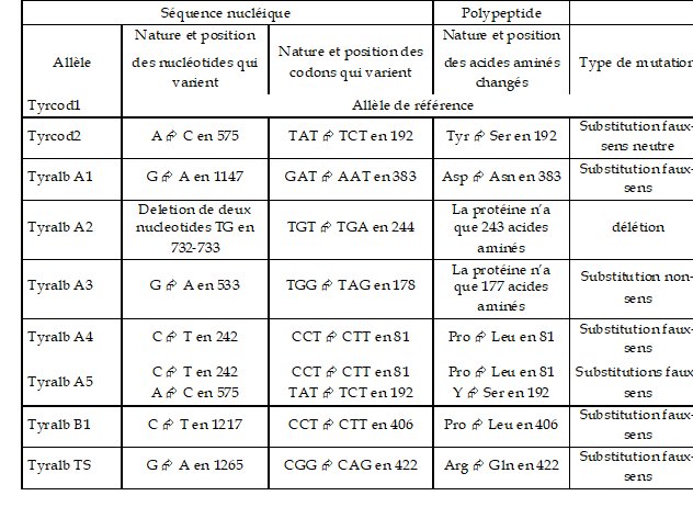 Allèles de la tyrosinase.jpg