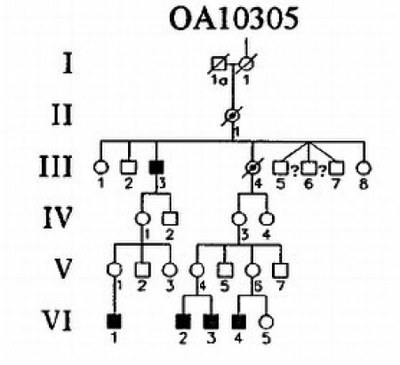Arbre famille claude.jpg