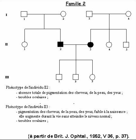 Tyrosinase-Famille 2.jpg