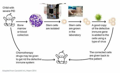 Etapes thérapie génique 2