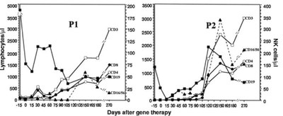 Graphique   Evolution du nombre de lymphocytes