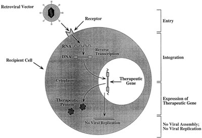 Transduction   Image1