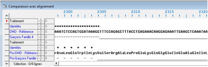 Alignement séquence garçons famille 4.jpg