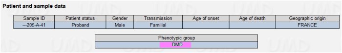 Diagnostic famille1.jpg