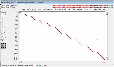 Dotplot début DMD.jpg