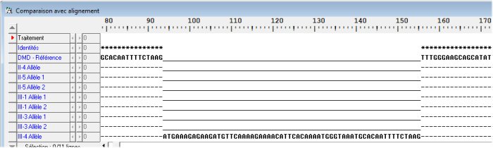 Alignement famille2. Tous