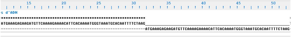 Alignement Mutation Famille2