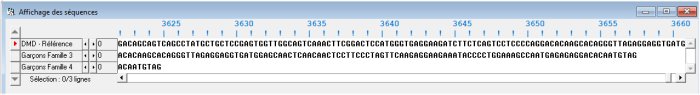 Alignement séquencesFamilles 3 4