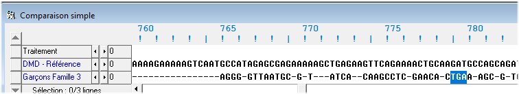 Conséquences Del19 sur la séquence nucléique Famille3