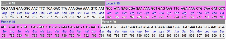 Délétion exon 19 Famille 3