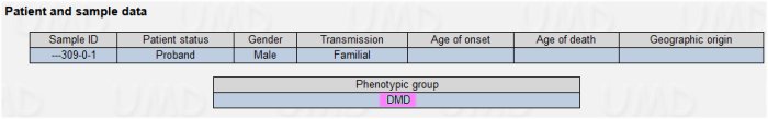 Diagnostic Garçon famille3