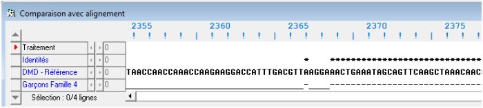 Famille4. Fin délétion E48 Nucléique
