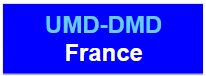 UMD DMD Icone