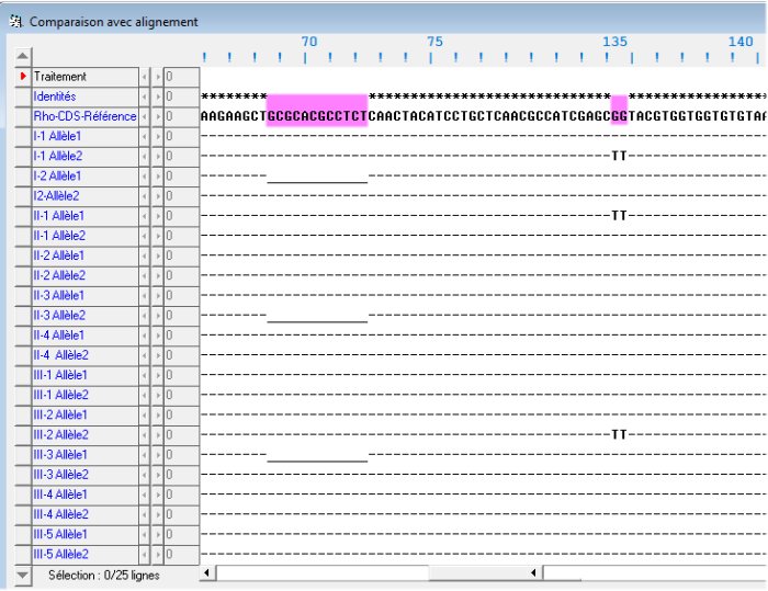Alignement Rhodopsine famille1.jpg