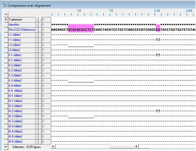 Alignement Rhodopsine famille1.jpg
