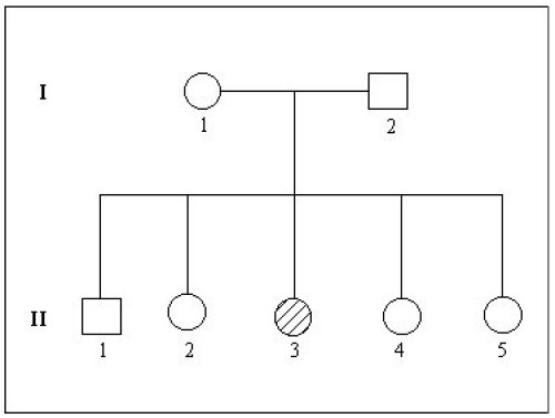 Arbre famille Michel.jpg