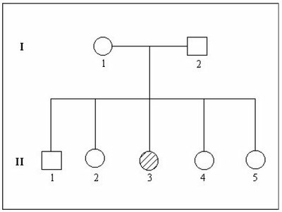 Arbre famille Michel.jpg