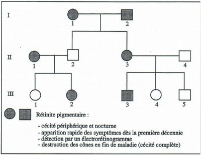 Arbre famille Pierre.jpg