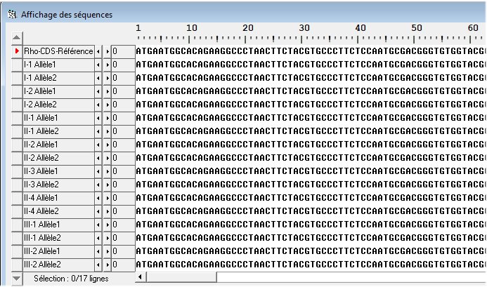 Rhodopsine. Généalogie Famille3.jpg
