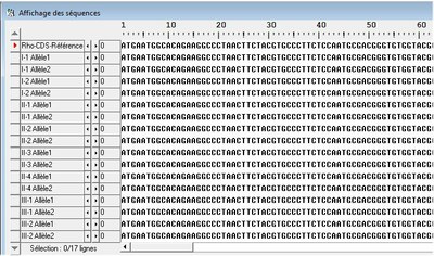 Rhodopsine. Généalogie Famille3.jpg