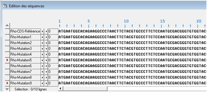 Allèles de la rhodopsine
