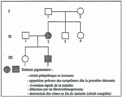 Arbre famille Martin