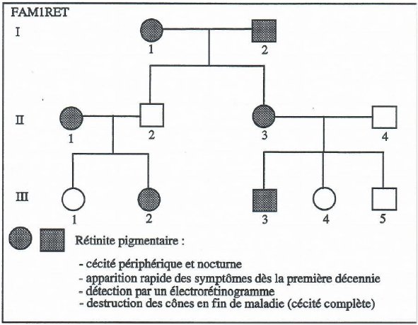 Image Famille1 Rétinite
