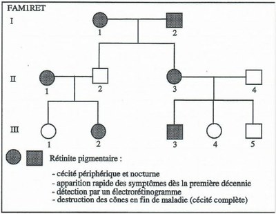 Image Famille1 Rétinite