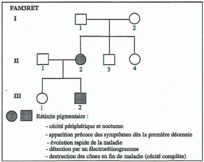 Image Famille3 Rétinite