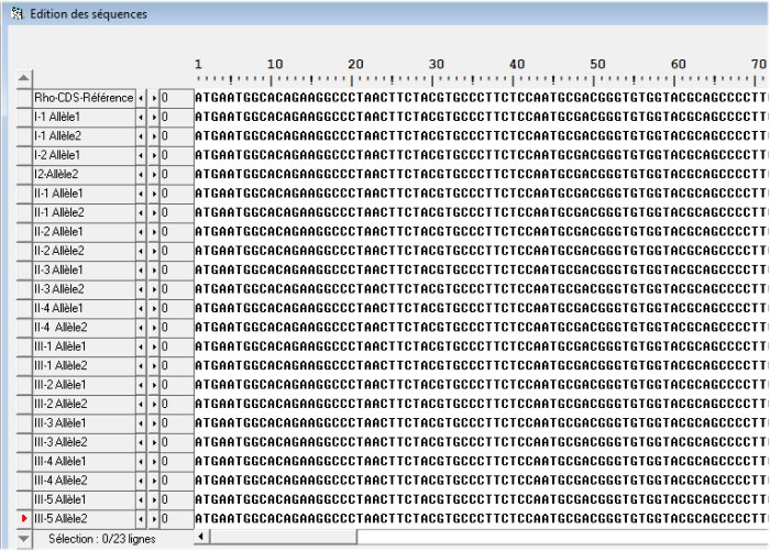 Rhodopsine Généalogie Famille1