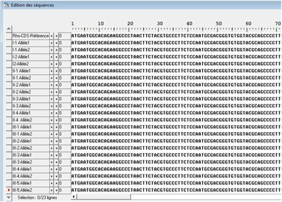 Rhodopsine Généalogie Famille1
