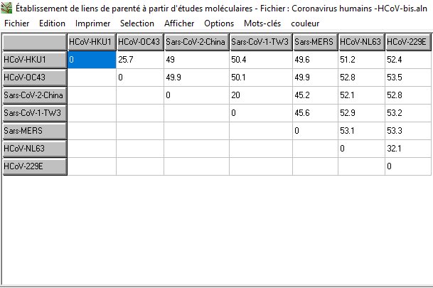 HCOV-Matrice des distances.jpg