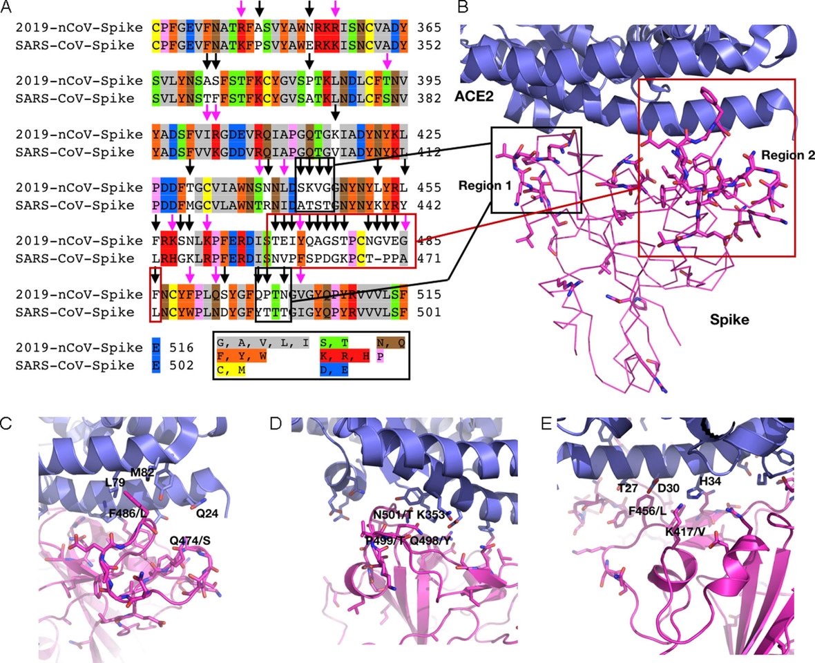 Morse-Figure 2 - Spike.jpg