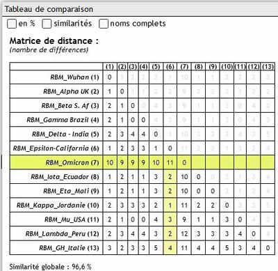 RBM - Matrice des distances.jpg