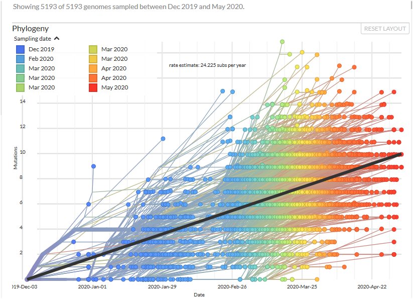 Mutations en fonction du temps. Données mondiales.jpg