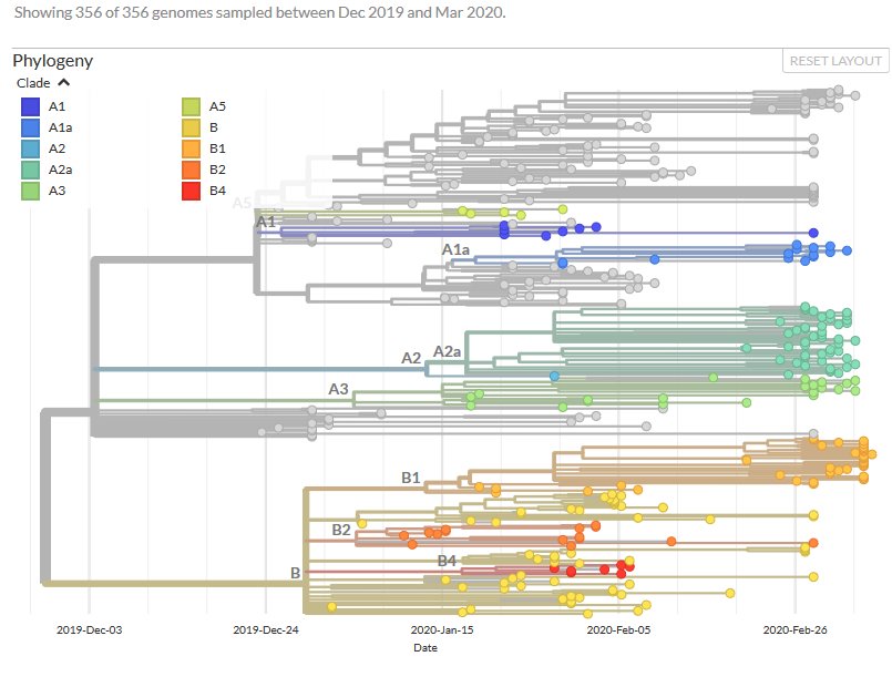 Arbre 356 séquences avec affichage des clades