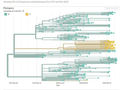 Arbre 356 séquences coloré fonction aa 614