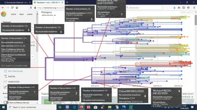 Arbre 356 séquences légendé